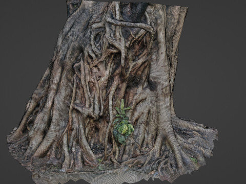 Uprooted tree trunk 3D Модель