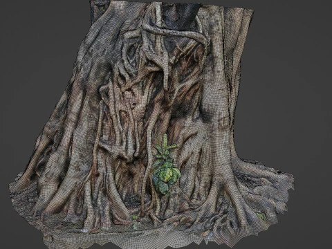 Uprooted tree trunk 3D Model