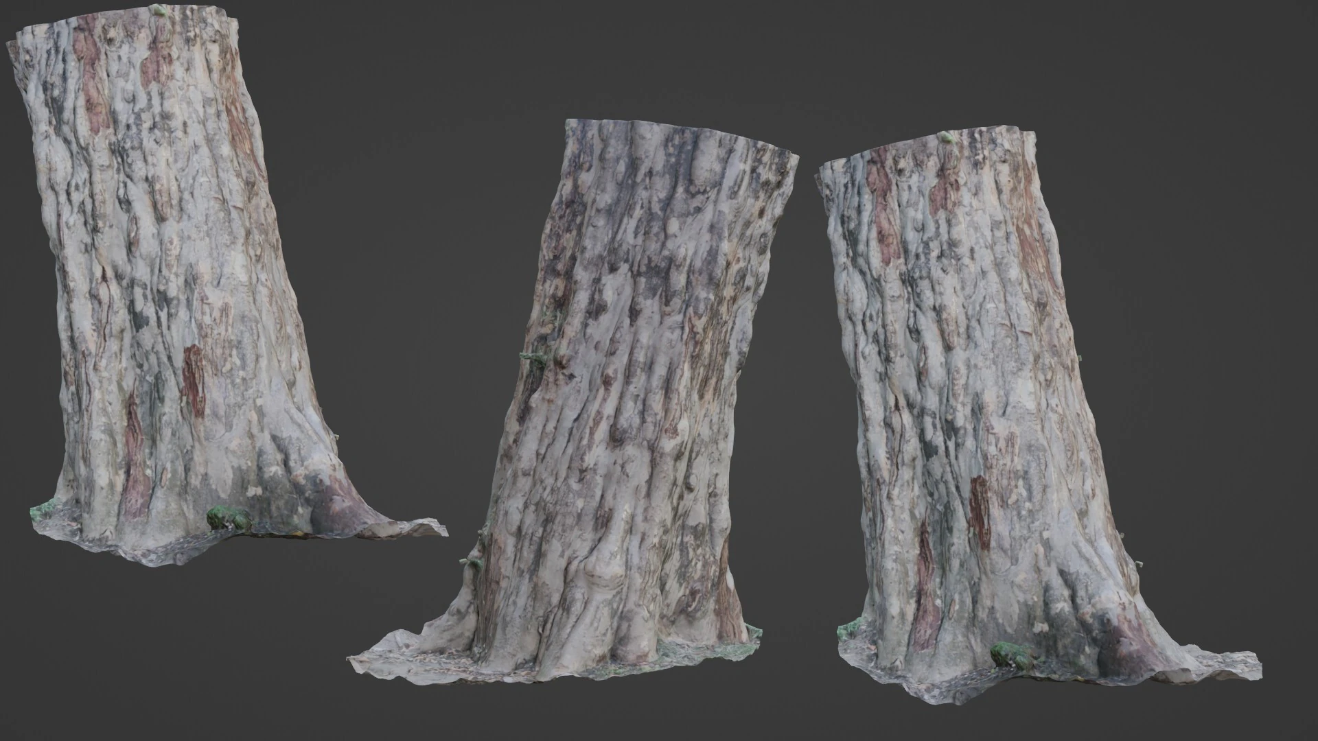 Forest Tree scan 3D Model .c4d .max .obj .3ds .fbx .stl .blend