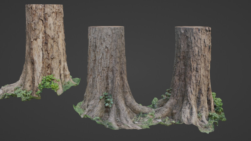 Scan Tree 3D 模型 .c4d .max .obj .3ds .fbx .stl .blend
