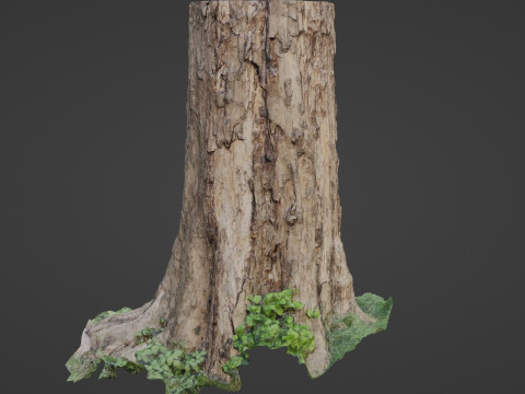 Scan Tree 3D 模型