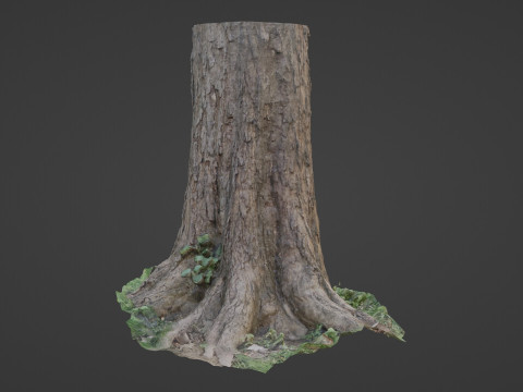 Scan Tree 3D 模型