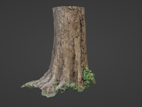 Scan Tree 3D 模型