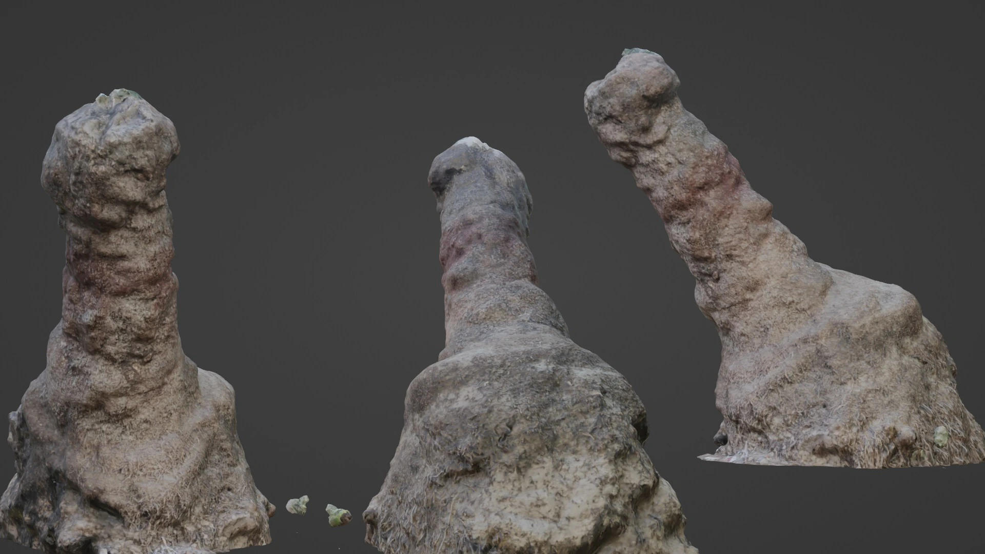Trunk Scan 3D Model .c4d .max .obj .3ds .fbx .stl .blend 