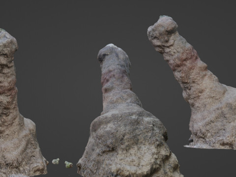 Trunk Scan 3D 모델