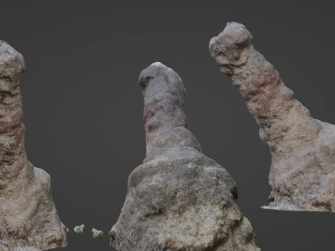 Scansione del tronco Modello 3D