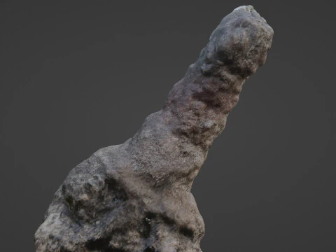Trunk Scan 3D Model