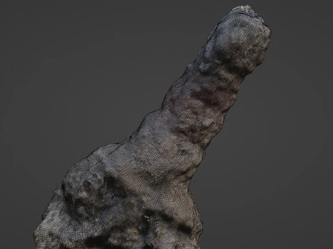 Trunk Scan 3D Model