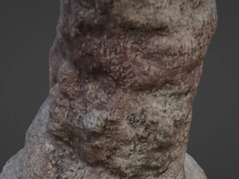 Trunk Scan 3D Model