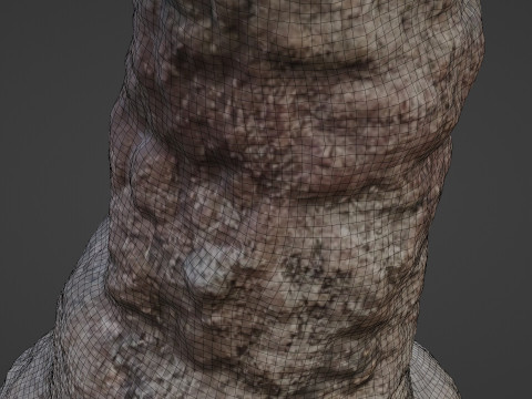 Trunk Scan 3D 모델