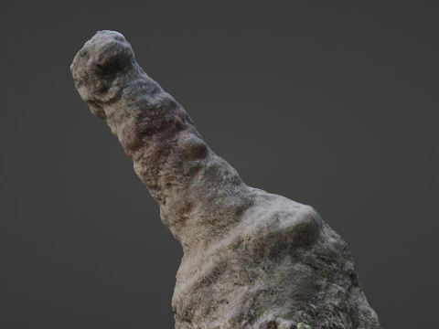Trunk Scan 3D Model