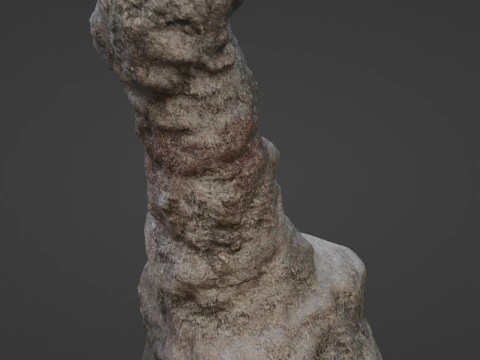 Trunk Scan 3D Model