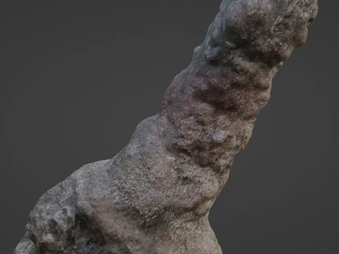 Trunk Scan 3D Model