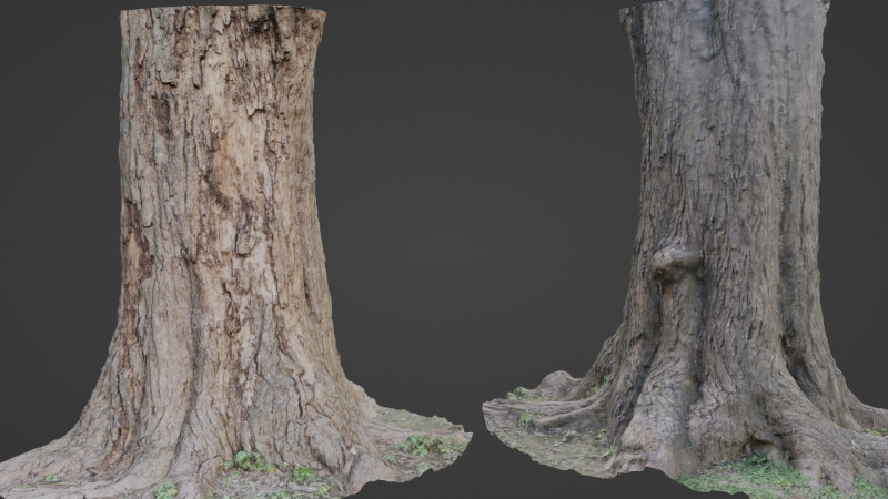 Gaint Trunk Scan Model 3D .c4d .max .obj .3ds .fbx .stl .blend