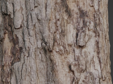 Gaint Trunk Scan Model 3D