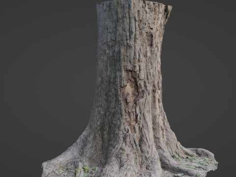 Gaint Trunk Scan Model 3D
