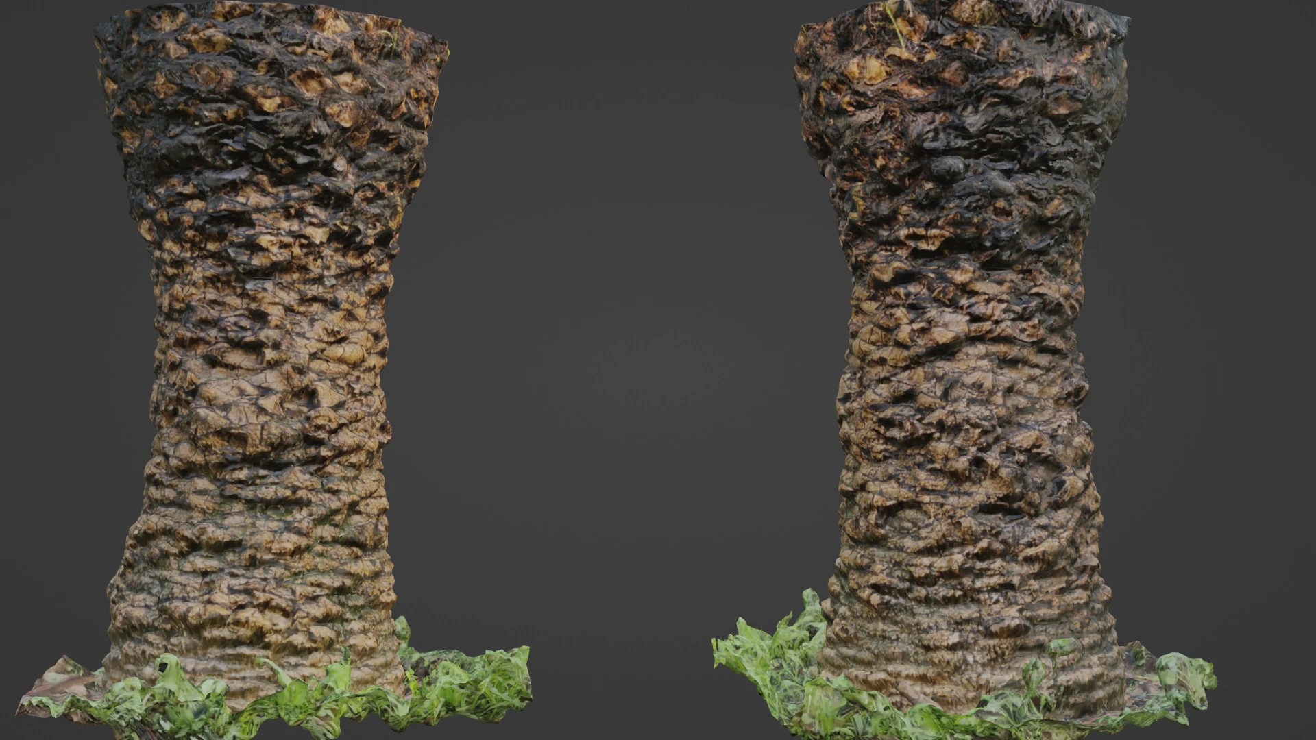 Plam Tree 3D Model .c4d .max .obj .3ds .fbx .stl .blend 