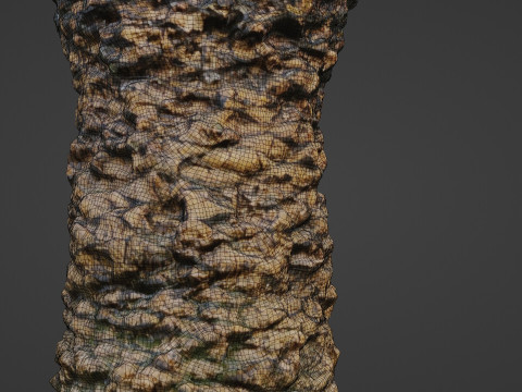 Plam Tree 3D Modell