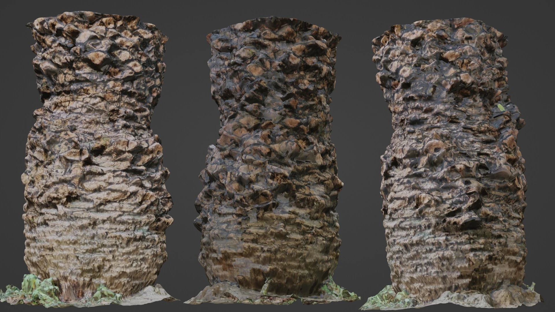 Palm tree 3D Model .c4d .max .obj .3ds .fbx .stl .blend 
