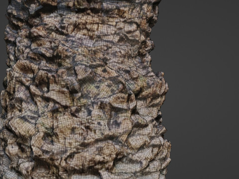 Palm tree Model 3D