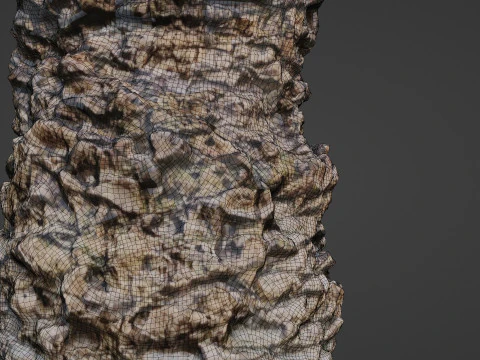 Palm tree 3D Model