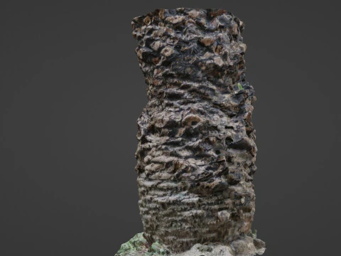 Palm tree 3D Model