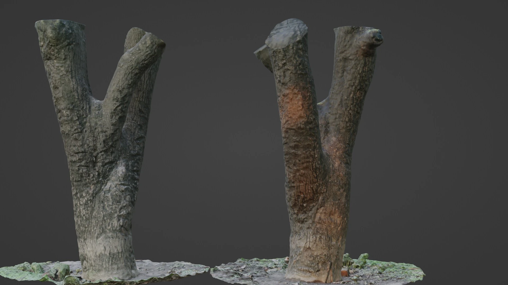 Tree 3D Model .c4d .max .obj .3ds .fbx .stl .blend 