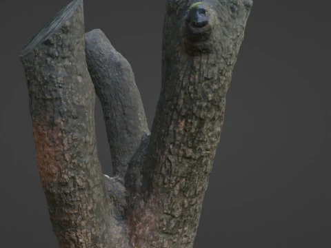 Tree 3D Model