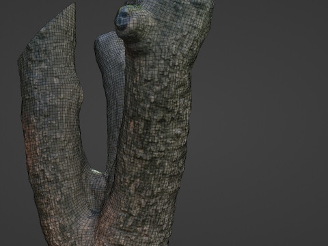 Tree 3D Модель