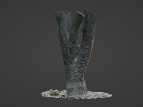 Tree 3D Модель