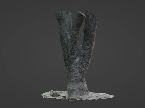 Tree 3D Model
