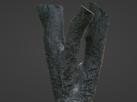 Tree 3D Модель