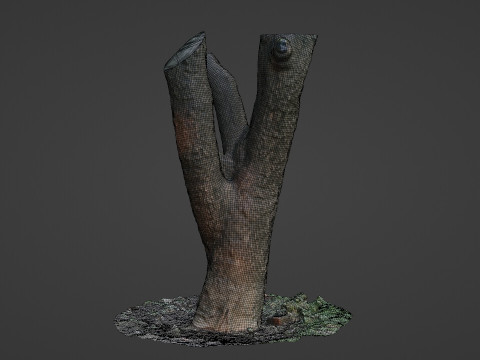 Tree 3D Модель