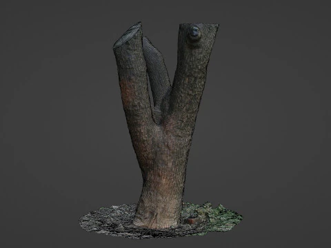 Tree 3D Model