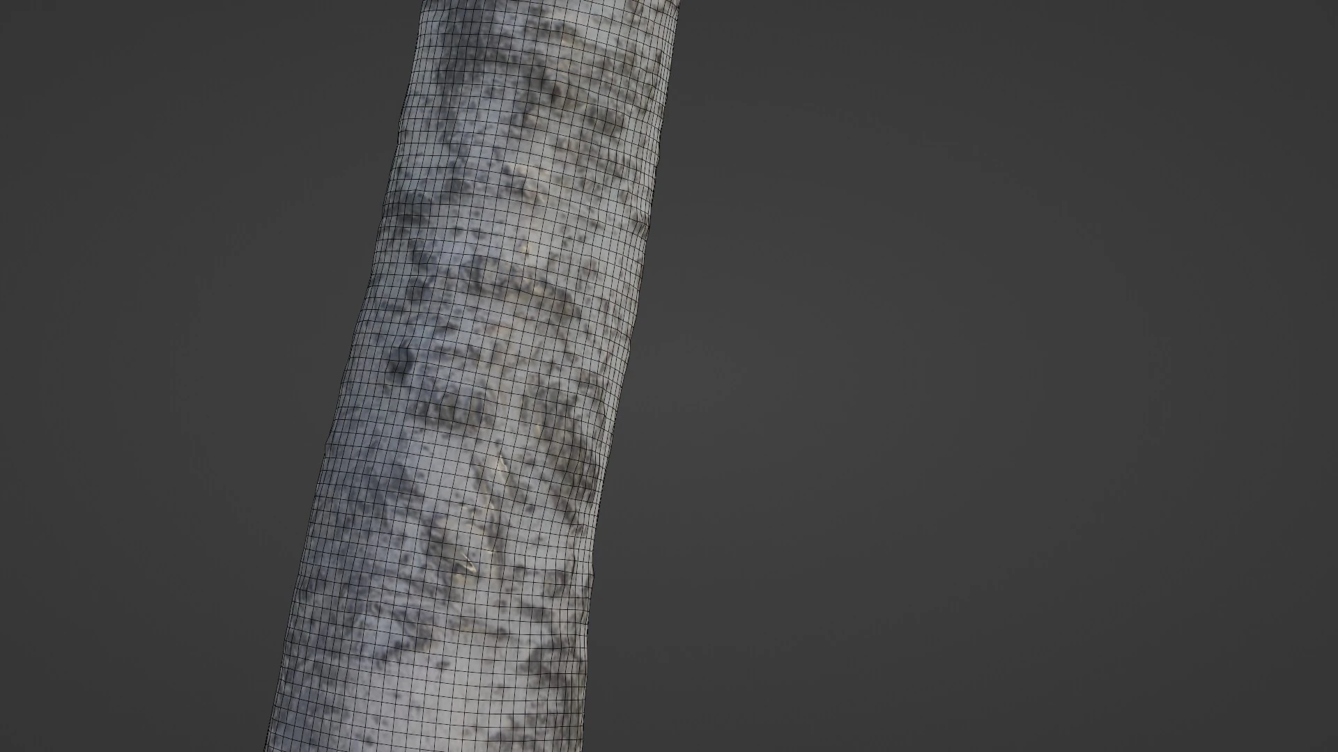 Birch Tree 3D Model .c4d .max .obj .3ds .fbx .stl .blend 