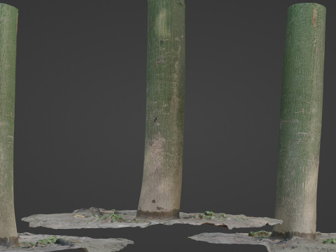 Forest Tree 3D Модель