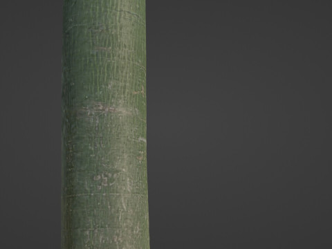 Forest Tree Modelo 3D