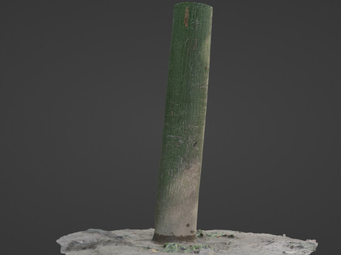 Forest Tree Modelo 3D