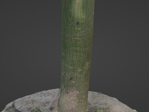 Forest Tree Modelo 3D