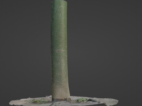 Forest Tree Modelo 3D