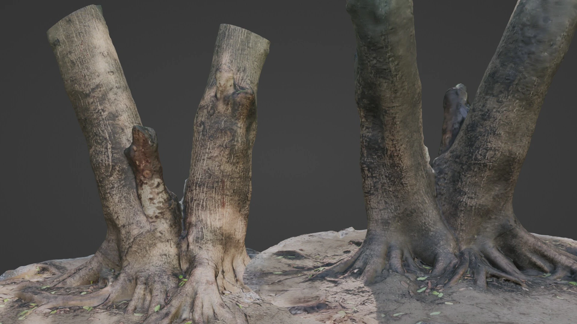 Twin Tree 3D Model .c4d .max .obj .3ds .fbx .stl .blend 