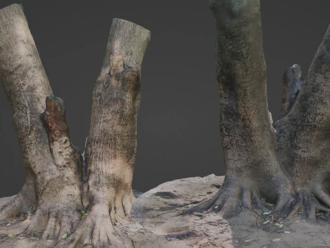 Twin Tree 3D Model