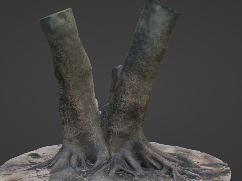 Twin Tree Modelo 3D