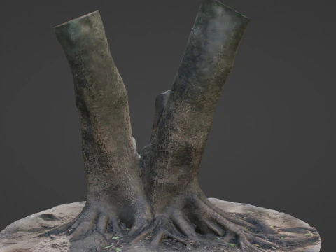 Twin Tree 3D Model