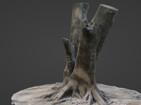 Twin Tree Modelo 3D