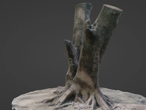 Twin Tree 3D Model
