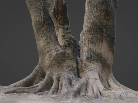 Twin Tree 3D Model