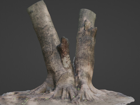 Twin Tree Modelo 3D
