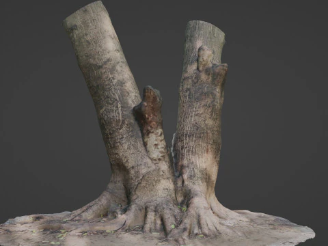 Twin Tree 3D Model