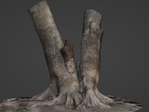 Twin Tree Modelo 3D